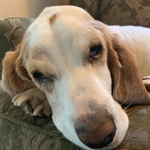 Welcome to my closet!